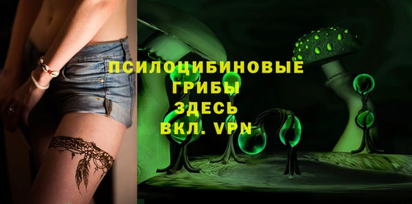 прущая мука Абаза
