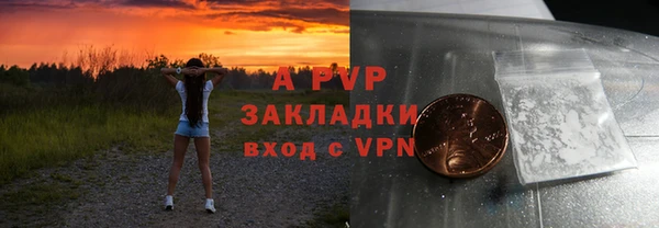 стаф Алексин