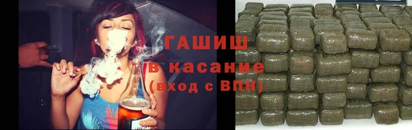 стаф Алексин